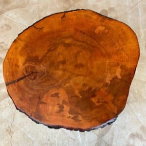 Meubels voor hout lieveling - boomschijf els 62 x 55 x 7 cm afbeelding 1