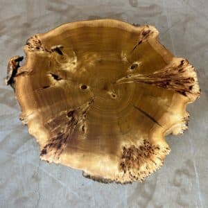 Furniture for wood darling - tree disc burl poplar 85 x 72 x 9cm picture 1