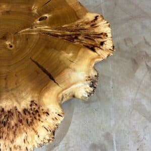 Furniture for wood darling - tree disc burl poplar 85 x 72 x 9cm picture 4