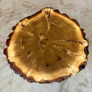 Möbel Für Holz Liebling - Fetta di albero in radica di pioppo con corteccia 70 X 70 X 9Cm Immagine 1