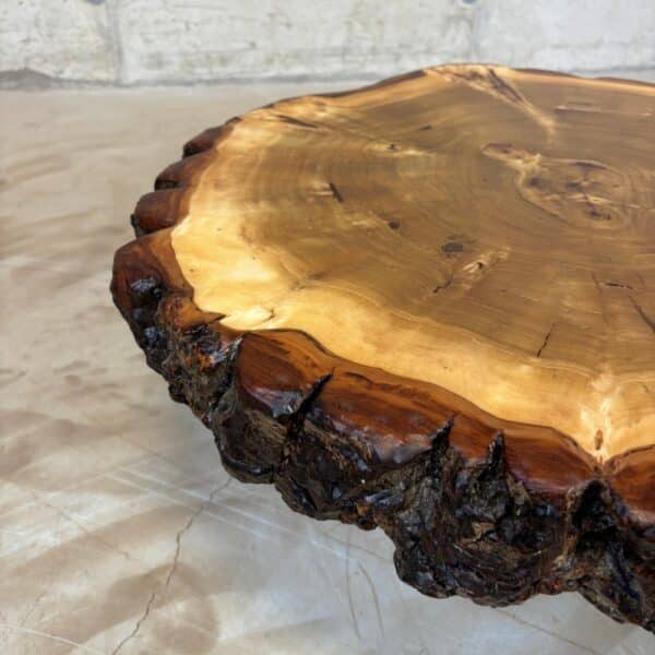 Furniture for wood darling - tree disc burl poplar with bark 70 x 70 x 9 cm picture 2