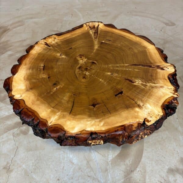 Möbel Für Holz Liebling - Baumscheibe Maserpappel Mit Rinde 70 X 70 X 9Cm Bild 4