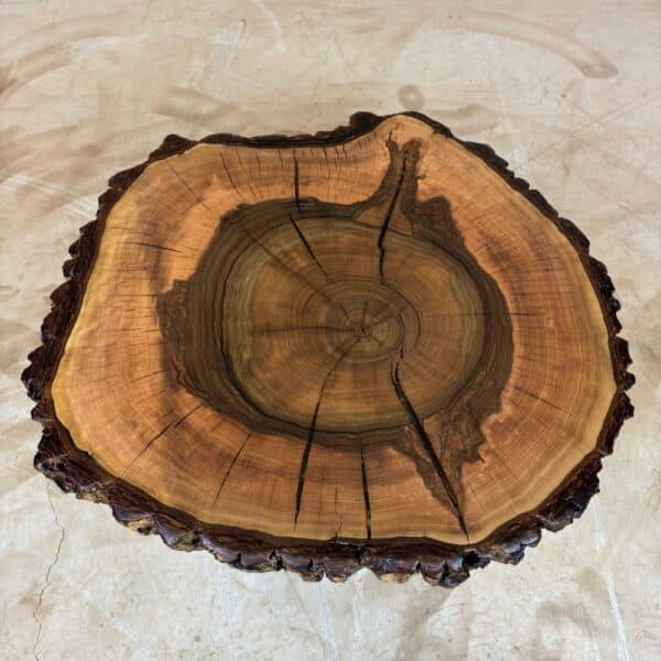 Möbel Für Holz Liebling - Albero Disco Noce Con Corteccia 75 X 70 X 6Cm Immagine 1