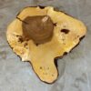 Furniture for wood darling - tree disc elm with bark 55 x 53 x 7 cm picture 1