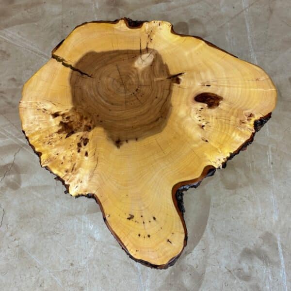 Furniture for wood darling - tree disc elm with bark 55 x 53 x 7 cm picture 1