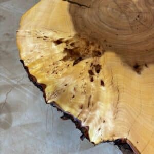 Furniture for wood darling - tree disc elm with bark 55 x 53 x 7 cm picture 2