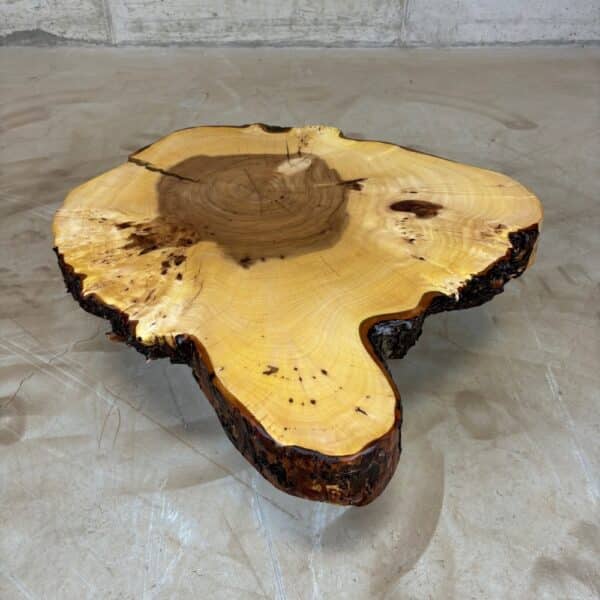 Furniture for wood darling - tree disc elm with bark 55 x 53 x 7 cm picture 3