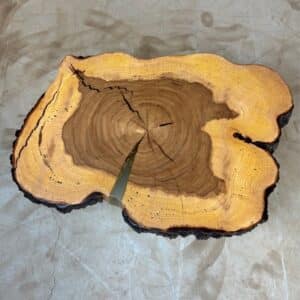 Tree disc-R-ster-with-bark-80-x-60-x-7cm-Image-1