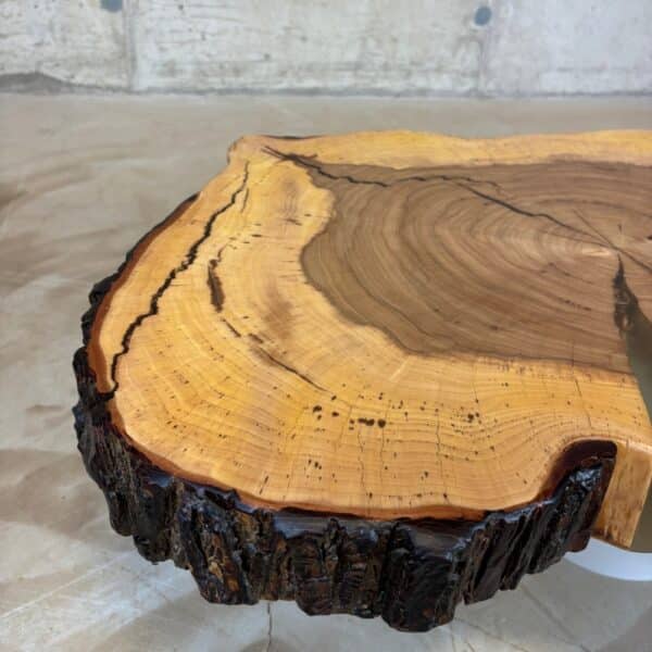 Möbel Für Holz Liebling - Rebanada De Árbol De Olmo Con Corteza 80 X 60 X 7Cm Cuadro 3