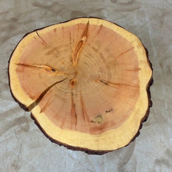 Furniture for wood darling - tree disc pine with bark 65 x 60 x 8 cm picture 1