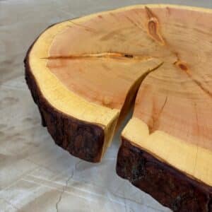 Furniture for wood darling - tree disc pine with bark 65 x 60 x 8 cm picture 2