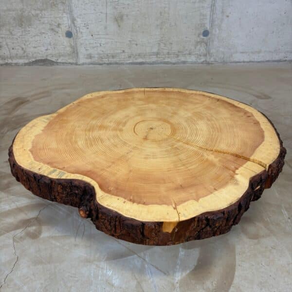 Möbel Für Holz Liebling - Rebanada de árbol de pino cembro con corteza 73 X 65 X 8Cm Cuadro 4